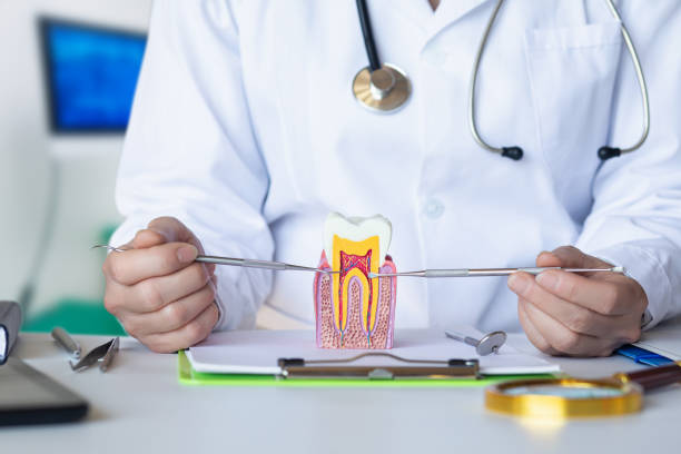 Best After-Hours Emergency Dentist in Forest Meadows, CA